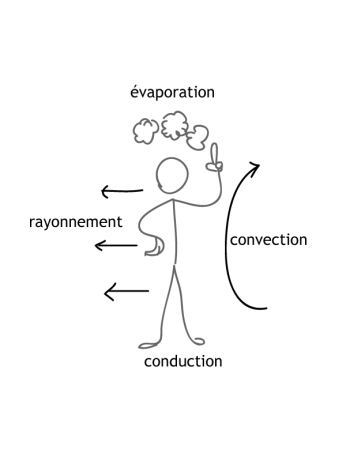 Personnage faisant des échanges thermiques par rayonnement (soleil), conduction (sol) , convection (air) et évaporation (transpiration)